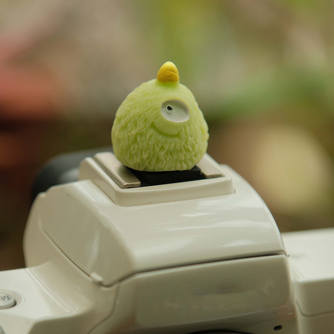 Leuke Monster Camera Flitsscho - Fujifilm Camera X-T5 recensie en prijs